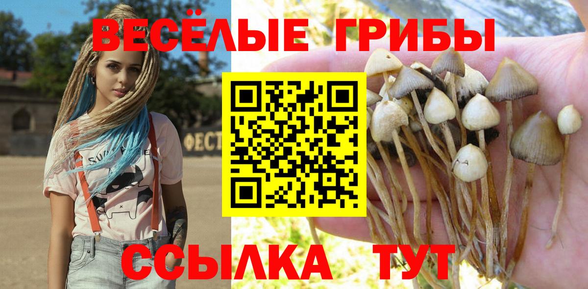 Псилоцибиновые грибы Magic Shrooms  Вход с VPN  Моздок 